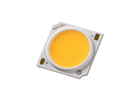 Renkli aydınlatma için su geçirmez çip LED COB 30W ANSI standardı