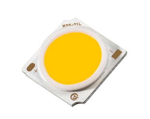31W Entegre COB Chip LED Dış Dekoratif LED Floodlight için Tam Spektrum
